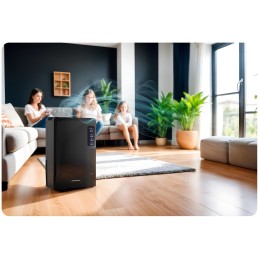 Osuszacz powietrza - pochłaniacz wilgoci Berdsen BR-22A czarny