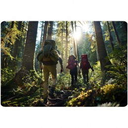 Kijki trekkingowe NS-383 Neo-Sport