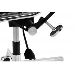 Fotel biurowy AERON PRESTIGE PLUS chrom - skóra naturalna, aluminium