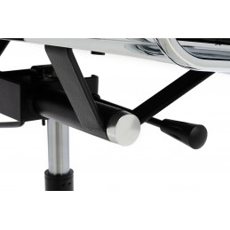 Fotel biurowy AERON PRESTIGE PLUS chrom - skóra naturalna, aluminium